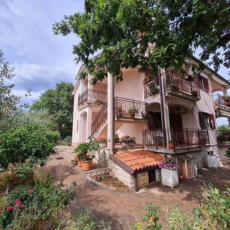 Apartment Ornela أوماغ المظهر الخارجي الصورة